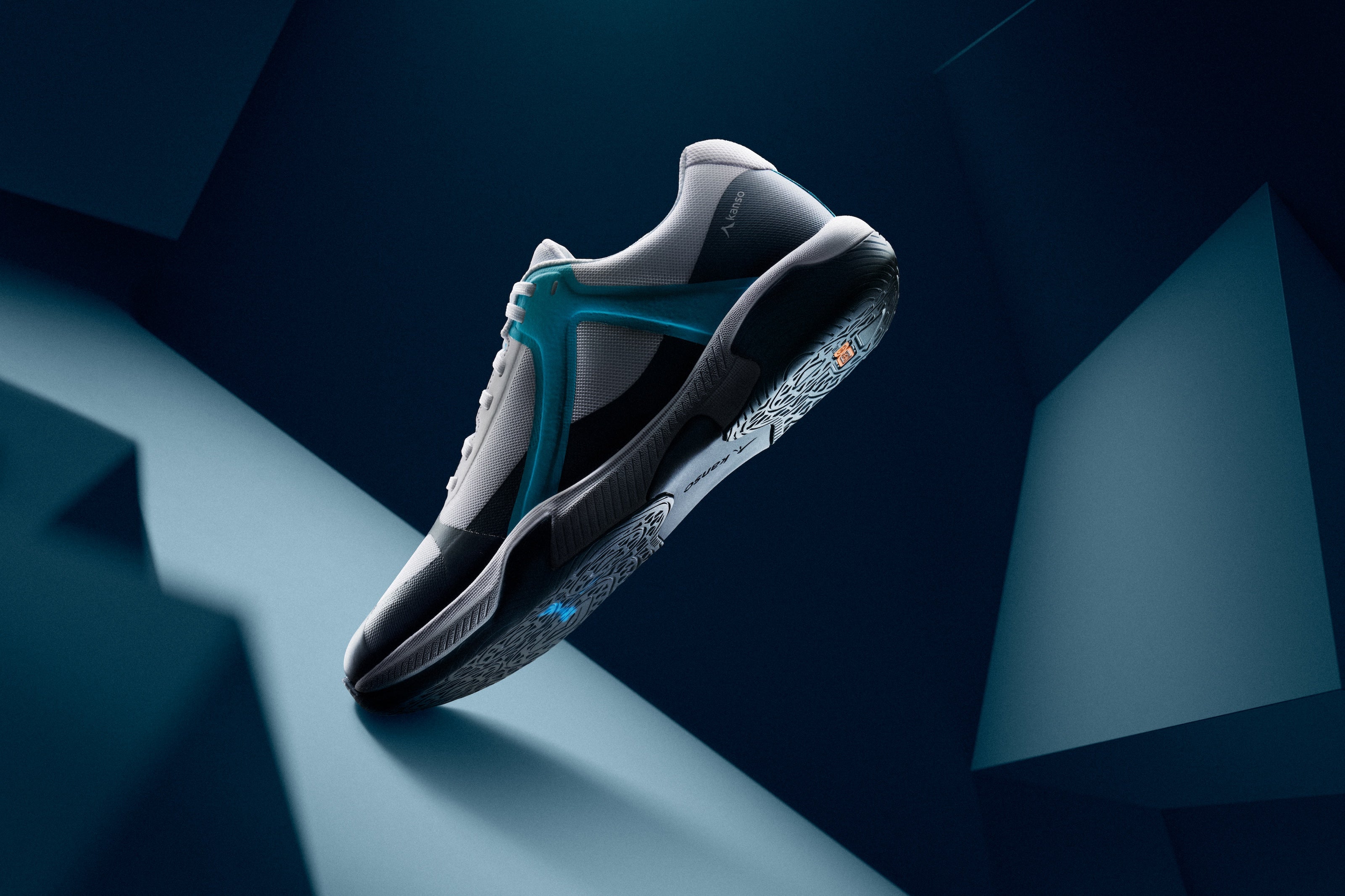 DragonFly White / Blue